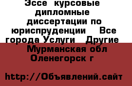 Эссе, курсовые, дипломные, диссертации по юриспруденции! - Все города Услуги » Другие   . Мурманская обл.,Оленегорск г.